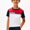 Kids' Colorblock Flag Stripe T-Shirt
         - Optic White