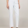 Classic High-Rise Straight Fit Jean
         - Light Wash